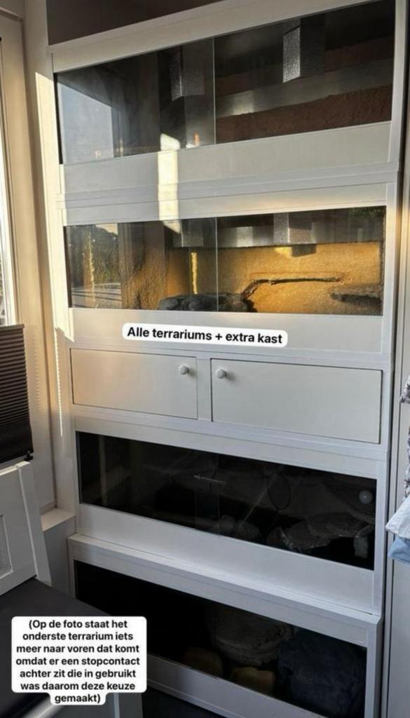 4 (3D) terrariums te koop (van betonplex), Dieren en Toebehoren, Reptielen en Amfibieën | Toebehoren, Zo goed als nieuw, Ophalen