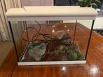 prachtige aquarium te koop, Dieren en Toebehoren, Ophalen, Zo goed als nieuw, Leeg aquarium