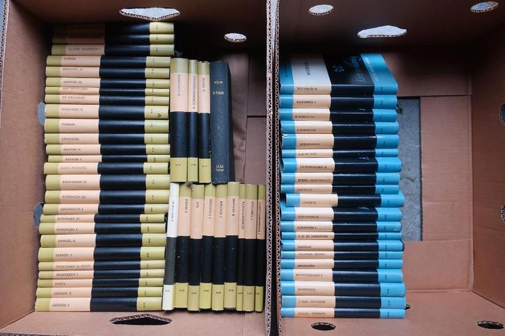 Korte verklaring der Heilige Schrift, Boeken, Godsdienst en Theologie, Zo goed als nieuw, Christendom | Protestants, Ophalen of Verzenden