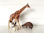 Schleich giraf , gordel dier , konijn, Ophalen of Verzenden, Zo goed als nieuw