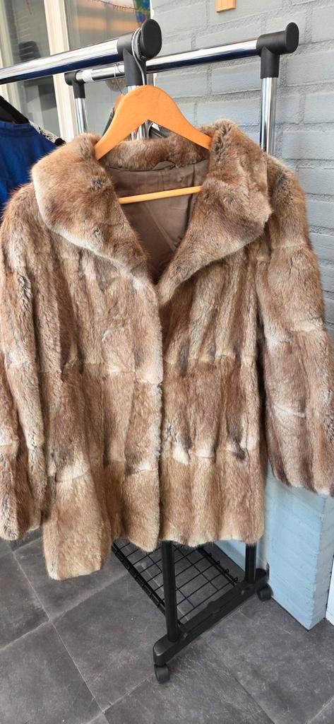 Vastenavend jassen/bont, Kleding | Dames, Jassen | Winter, Zo goed als nieuw, Bruin, Ophalen