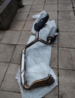 Originele Triumph Speed Triple 1050, Motoren, Ophalen of Verzenden