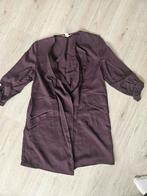 ZGAN H&M dun jasje aubergine, maat 36, H&M, Paars, Ophalen of Verzenden, Zo goed als nieuw