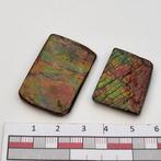 2x Ammoliet Ammoniet Canada Ammolite iriserend, Ophalen of Verzenden, Mineraal