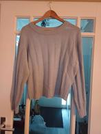 Nümph Trui - Maat L - licht blauw, Ophalen of Verzenden, Zo goed als nieuw, Grijs, Maat 42/44 (L)