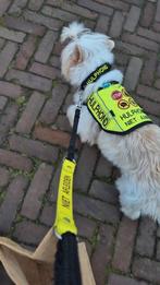 Y Tuig hesje/dekje voor hulphond, Dieren en Toebehoren, Verzenden, Zo goed als nieuw