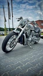 Harley-Davidson Nightrod special VRSCDX(anniversary edition), Motoren, Motoren | Harley-Davidson, Chopper, Particulier