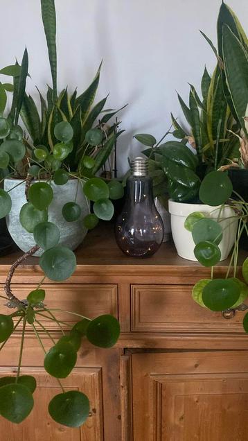 Sfeerlampje lightbulb beschikbaar voor biedingen