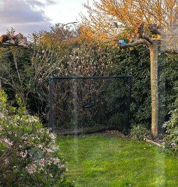 Voetbalgoal Etan van robuust staal, 244 bij 200 cm beschikbaar voor biedingen