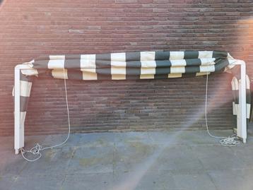 Markies beschikbaar voor biedingen