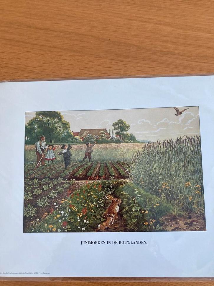 Prent Junimorgen in de Bouwlanden (Jetses) diverse platen, Verzamelen, Foto's en Prenten, Nieuw, Prent, Ophalen of Verzenden