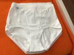 Sloggi dames onderbroeken met kant, Kleding | Dames, Ondergoed en Lingerie, Ophalen of Verzenden, Wit, Slip