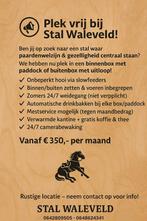 Stalling Haarlem, Stalling, 2 of 3 paarden of pony's