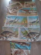 Leuk dino dekbedovertrek, eenpersoons, Ophalen of Verzenden, Overige kleuren, Jongetje of Meisje, Dekbedovertrek