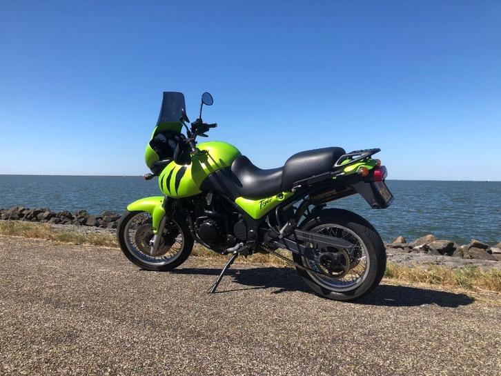 Triumph tiger 955, Motoren, Motoren | Triumph, Particulier, Toermotor, meer dan 35 kW, 3 cilinders, Ophalen