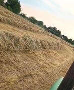 hooi te koop grote balen, Dieren en Toebehoren, Stalling en Weidegang