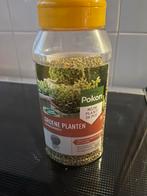 Pokon Groene Planten Voedingskorrels, Tuin en Terras, Plantenvoeding, Ophalen, Nieuw