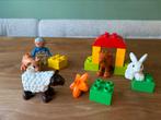 Duplo boerderijdieren #10522 #5643, Ophalen of Verzenden, Gebruikt, Duplo