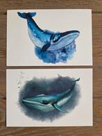 POTVIS meerdere beschikbaar, Verzamelen, Ophalen, 1980 tot heden, Hond of Kat