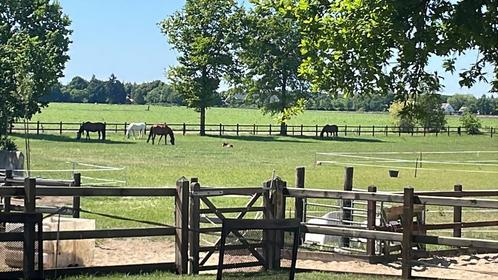Stalling met weidegang en paddock bij het bos 🌳, Dieren en Toebehoren, Stalling en Weidegang, Stalling, Weidegang, 1 paard of pony