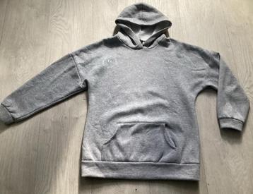 Grijze Hoodie maat L met Print beschikbaar voor biedingen