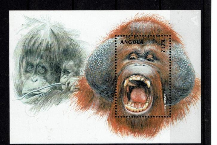 angola 2000 pf blok orang oetan apen wildlife zoogdieren, Postzegels en Munten, Postzegels | Thematische zegels, Postfris, Dier of Natuur
