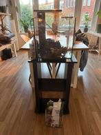 Superfish 30ltr met accessoires en onderkastje, Dieren en Toebehoren, Vissen | Aquaria en Toebehoren, Ophalen, Zo goed als nieuw