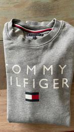 Maat 164 Tommy Hilfiger, Kleding | Heren, Truien en Vesten, Ophalen of Verzenden, Zo goed als nieuw