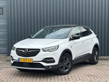 Opel Grandland X 1.2 Turbo Edition 2020 Camera /Navi beschikbaar voor biedingen