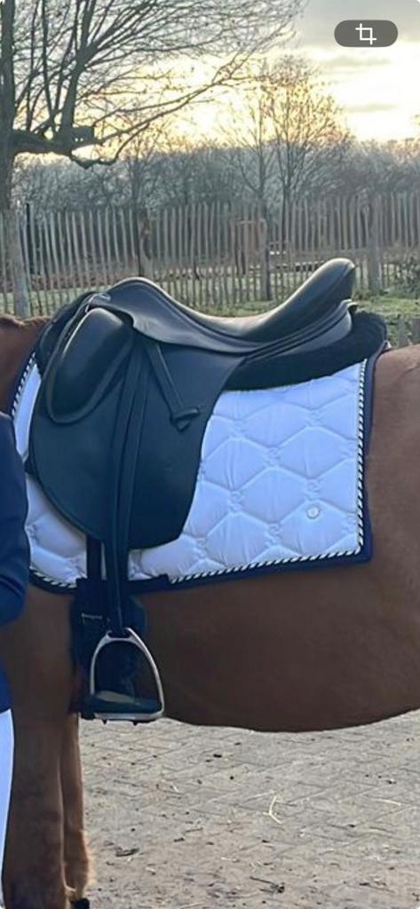 Erreplus dressuur zadel 17 inch, Ophalen of Verzenden, Dressuur