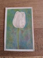 Oude Reclameplaat Darwin Tulp La Candeur, Antiek en Kunst, Ophalen of Verzenden