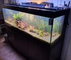 Aquarium aquariums aquarium spullen en toebehoren vissenbak, Dieren en Toebehoren, Vissen | Aquaria en Toebehoren, Ophalen, Zo goed als nieuw