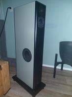 Audio physic virgo 2 topstaat, Overige merken, Ophalen of Verzenden, Zo goed als nieuw, 120 watt of meer