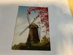 M157) Duitsland molen, Verzamelen, Ansichtkaarten | Buitenland, Ophalen of Verzenden, Duitsland