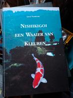 Koi informatieboek, Karper of Koi