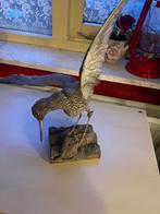 Opgezette Fuutvogel, Verzamelen, Dierenverzamelingen, Ophalen, Gebruikt, Vogel, Opgezet dier