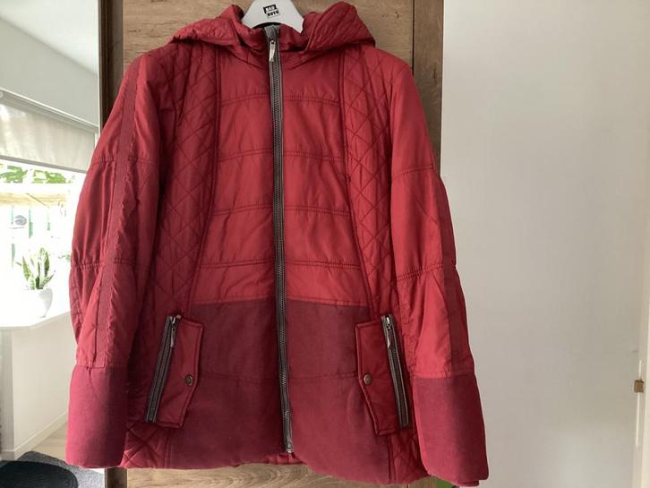 Winterjas wijnrood maat 42/44, Kleding | Dames, Jassen | Winter, Zo goed als nieuw, Maat 42/44 (L), Rood, Ophalen of Verzenden