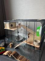 Hamsterkooi compleet met accessoires zaagsel en voer, Kooi, Minder dan 75 cm, Hamster, Ophalen