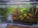 Aquarium, Dieren en Toebehoren, Vissen | Aquaria en Toebehoren, Ophalen, Gebruikt, Overige typen