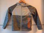 Kinderkleding mt 116 vest, Meisje, Trui of Vest, Ophalen of Verzenden, Zo goed als nieuw