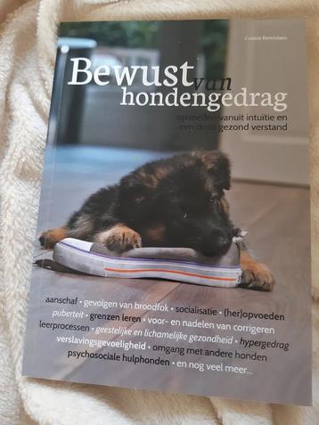 Connie Berendsen - Bewust van hondengedrag beschikbaar voor biedingen