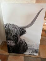 Canvas schotse hooglander, Ophalen, Zo goed als nieuw, Schilderij, 75 cm of meer