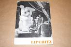 Tentoonstellingscatalogus Jacques Lipschitz 1958, Boeken, Ophalen of Verzenden, Gelezen, Schilder- en Tekenkunst