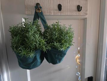 PLANTENPOT HANGER + KUNSTPLANTJES - INFO ZIE ADVERTENTIE  beschikbaar voor biedingen