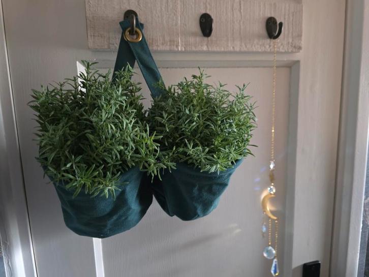 PLANTENPOT HANGER + KUNSTPLANTJES - INFO ZIE ADVERTENTIE, Huis en Inrichting, Woonaccessoires | Kunstplanten en Kunstbloemen, Nieuw