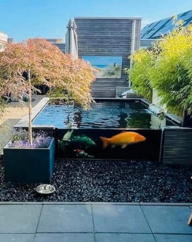 Complete Koivijver te koop(filters & koi) - Liefst in 1 koop, Tuin en Terras, Vijvers, Zo goed als nieuw, Ophalen of Verzenden