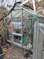 Kweekkas - Hobbykas, Tuin en Terras, Kassen, Ophalen, Gebruikt, Kweekkas, Glas