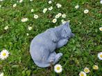 Liggende poes , kat, Ophalen of Verzenden, Nieuw, Dier