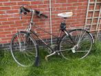 Vintage Koga Miyaga randonneur/sportfiets - framemaat 54, Ophalen, 28 inch, Koga Miyata, Meer dan 20 versnellingen