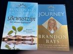 2x Brandon Bays – The Journey & Bewustzijn, Ophalen of Verzenden, Zo goed als nieuw, Spiritualiteit algemeen